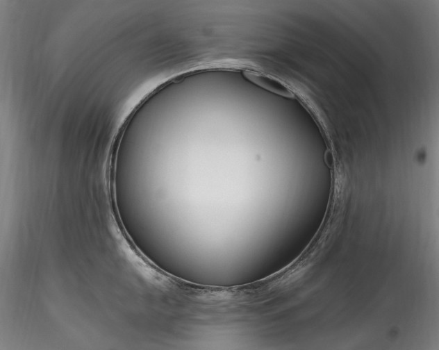 X0000115771054200911271136