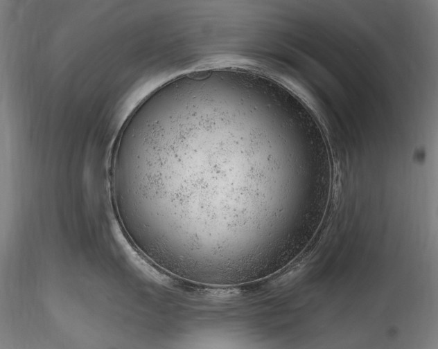 X0000115771055200911271136