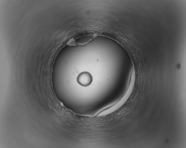 X0000115771057200911271135