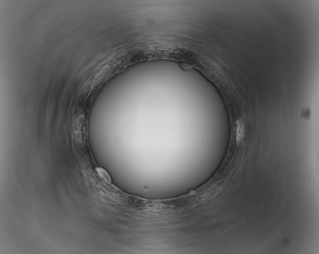 X0000115771059200911271135