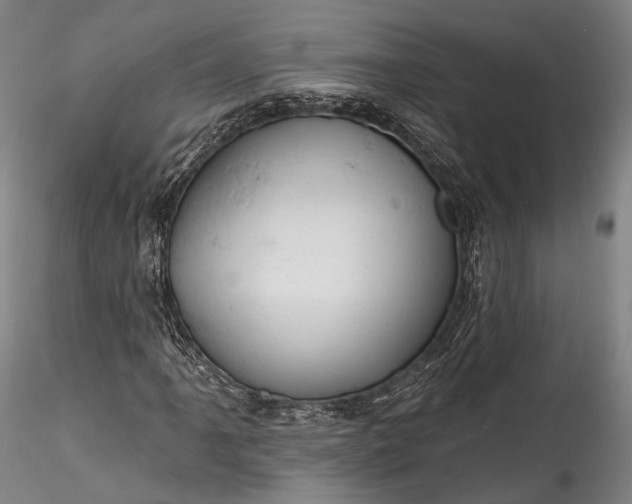 X0000115771061200911271135