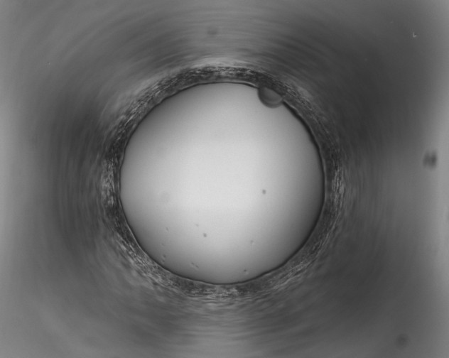 X0000115771062200911271135