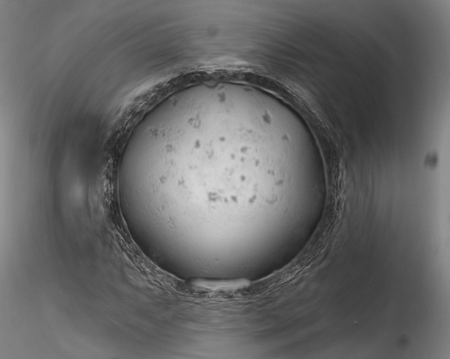 X0000115771063200911271135
