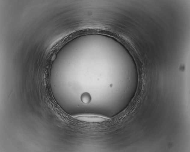 X0000115771064200911271135