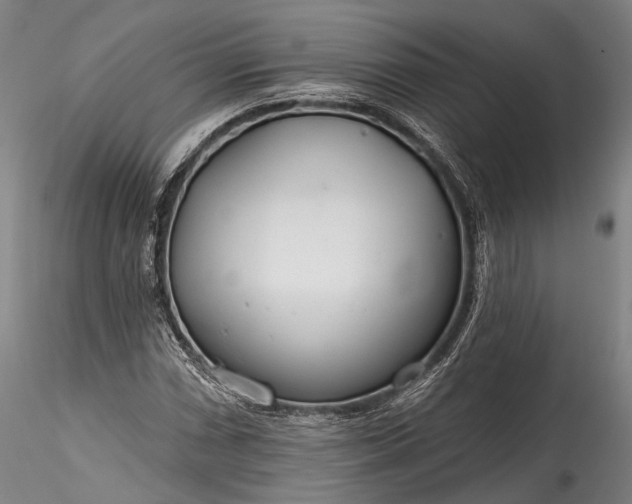 X0000115771066200911271135