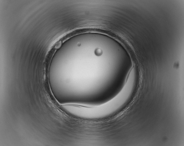 X0000115771069200911271135