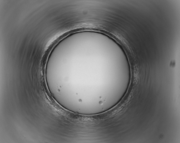 X0000115771070200911271135