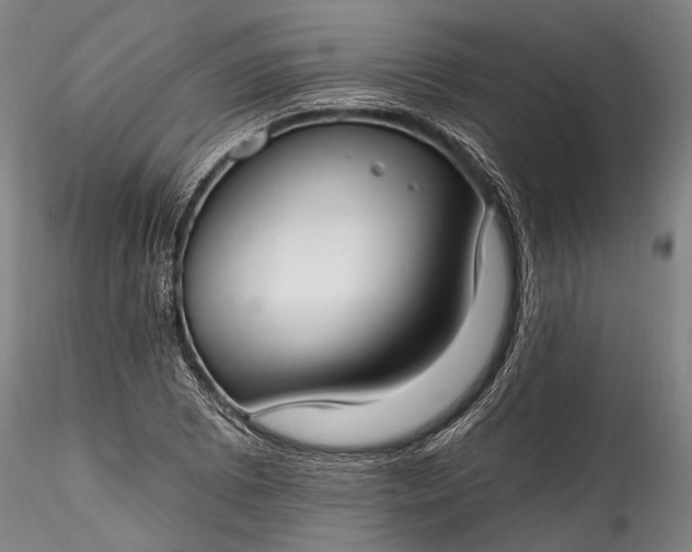 X0000115771073200911271135