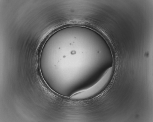 X0000115771075200911271135