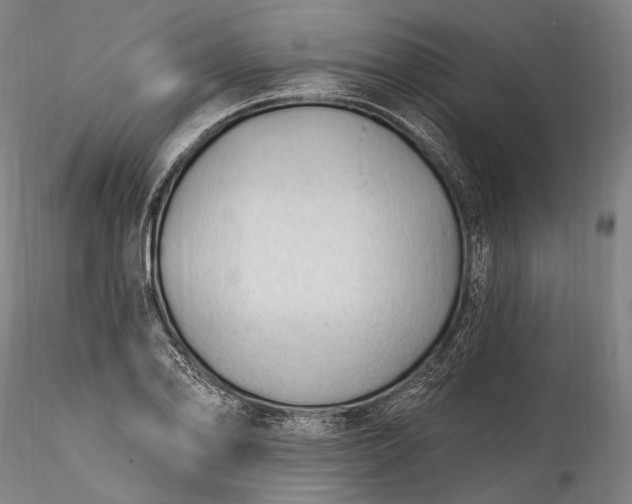 X0000115771078200911271134
