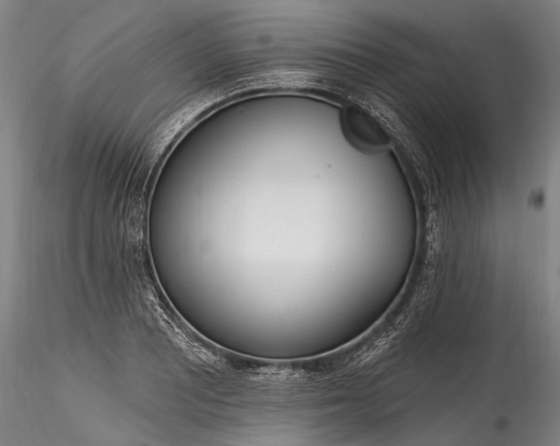 X0000115771081200911271134