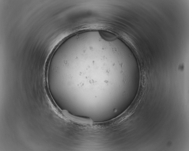 X0000115771087200911271134