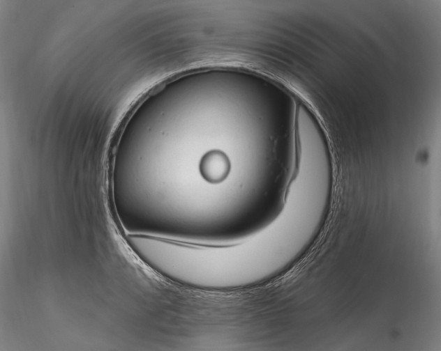 X0000115771088200911271134