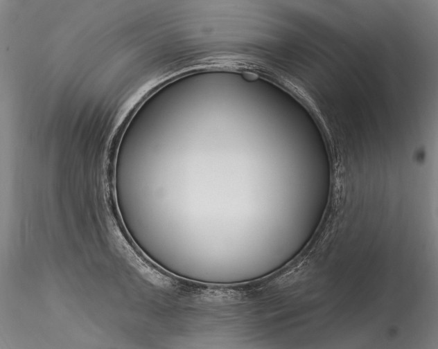 X0000115771091200911271134