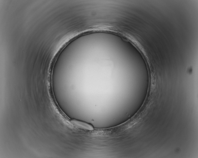 X0000115771093200911271134