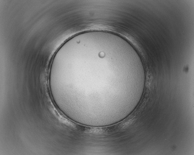 X0000115771094200911271134
