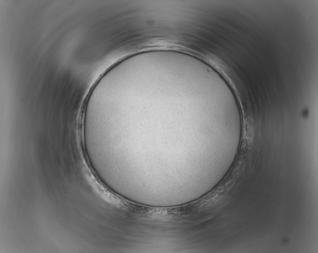 X0000115771098200911271134