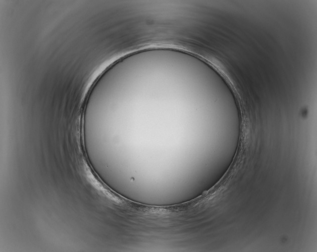 X0000115771100200911271134