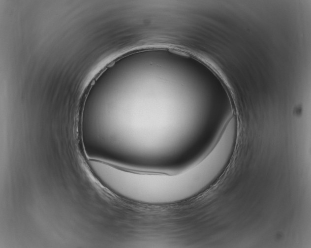 X0000115771101200911271134