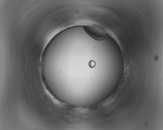X0000115771103200911271134