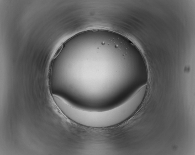 X0000115771104200911271134