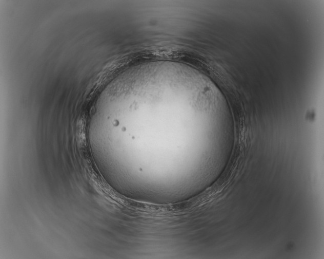X0000115771106200911271133