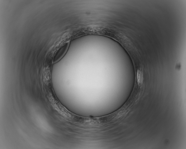 X0000115771107200911271133