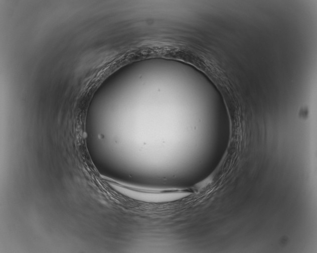 X0000115771109200911271133