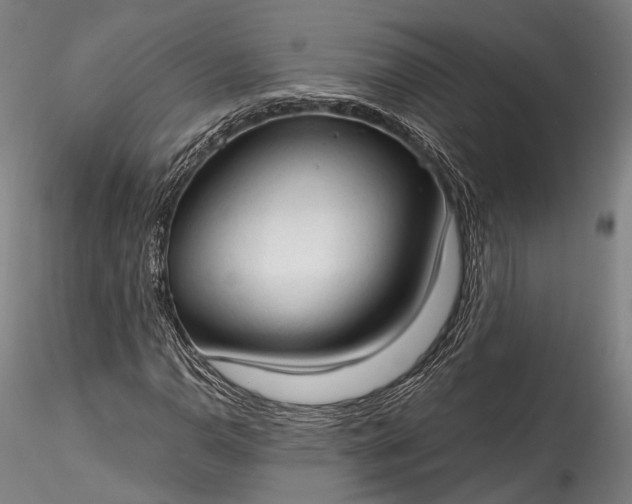 X0000115771110200911271133