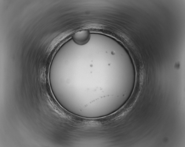 X0000115771113200911271133
