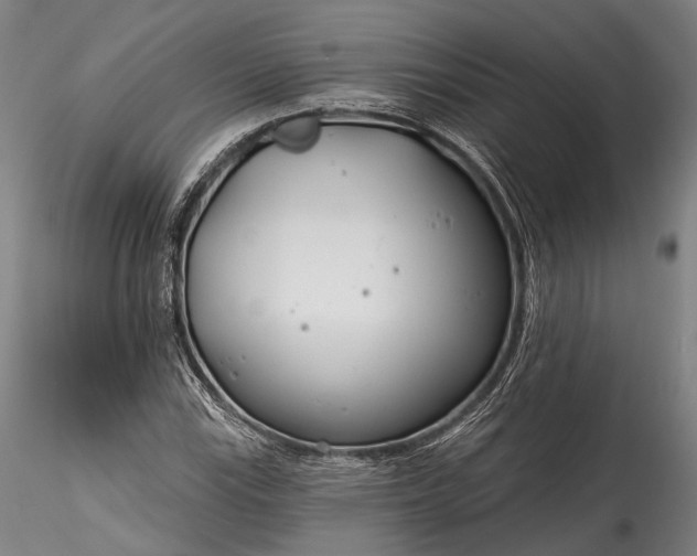 X0000115771115200911271133