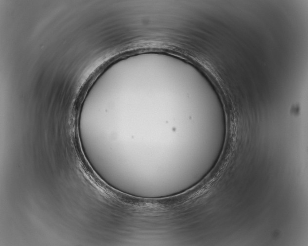 X0000115771119200911271133