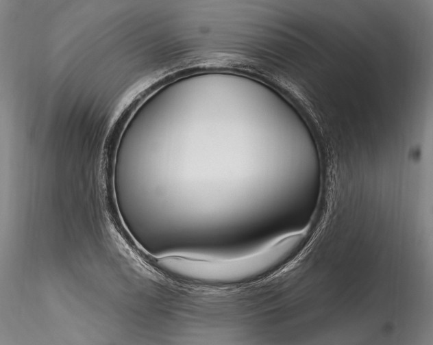 X0000115771122200911271134