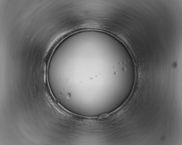 X0000115771123200911271134