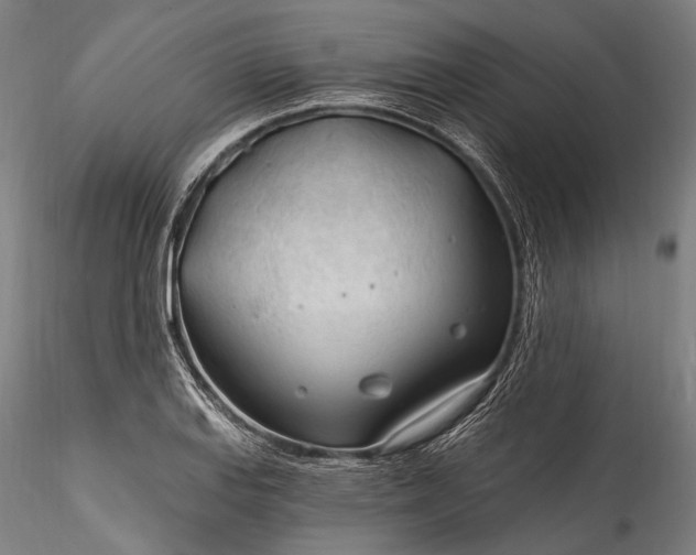 X0000115771127200911271134