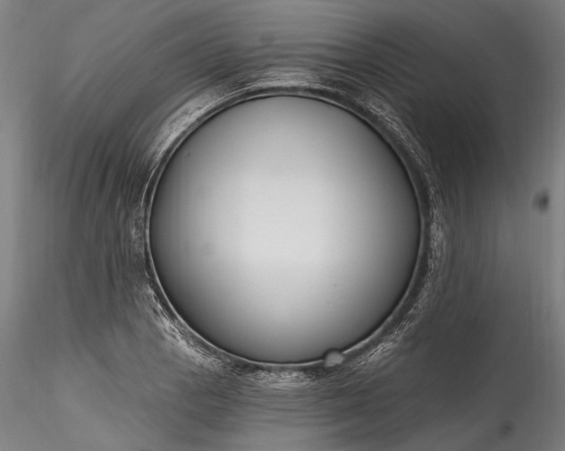X0000115771129200911271134