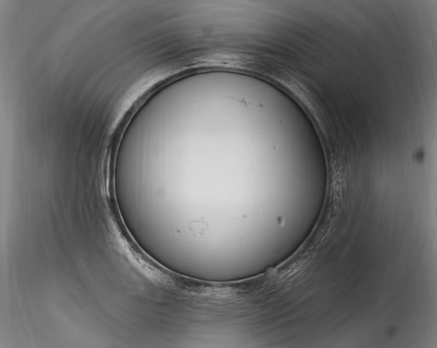X0000115771131200911271134