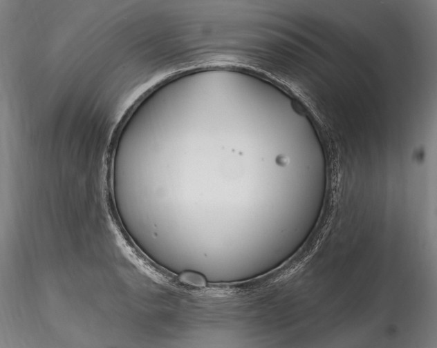 X0000115771134200911271134
