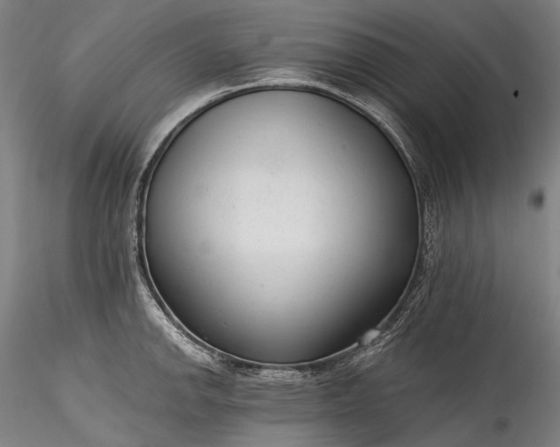 X0000115771142200911271134