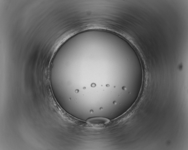 X0000115771145200911271134