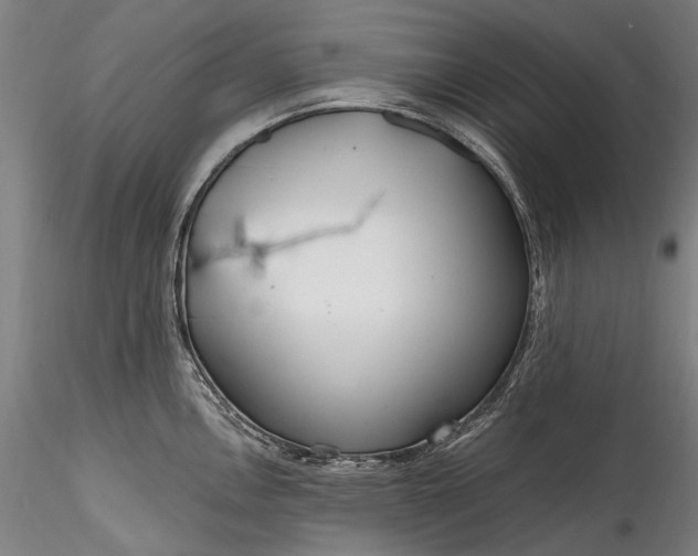 X0000115771146200911271134