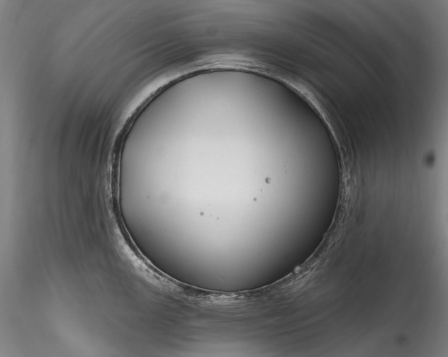 X0000115771147200911271134