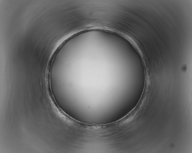 X0000115771149200911271134