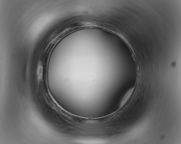 X0000115771151200911271134