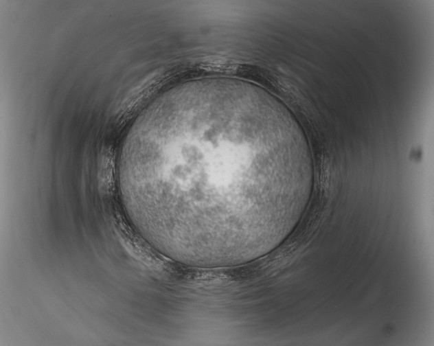 X0000115771154200911271133