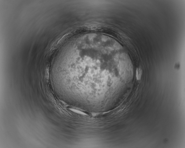 X0000115771155200911271133