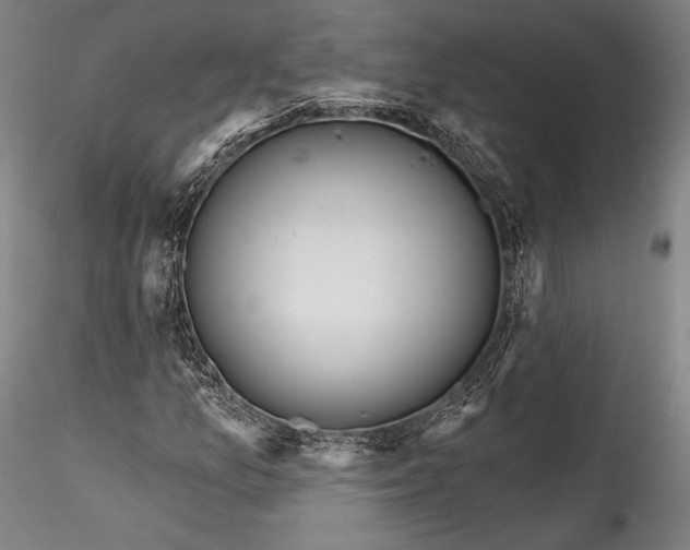 X0000115771157200911271133