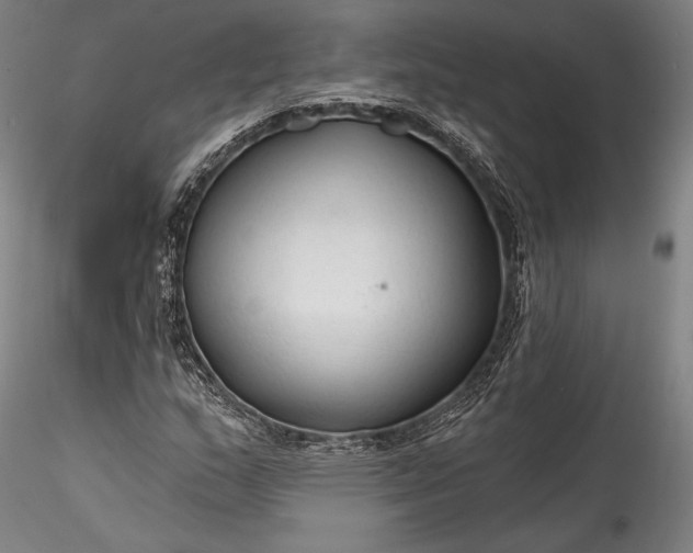 X0000115771159200911271133