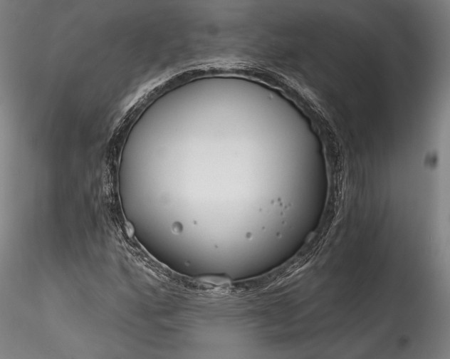 X0000115771160200911271133