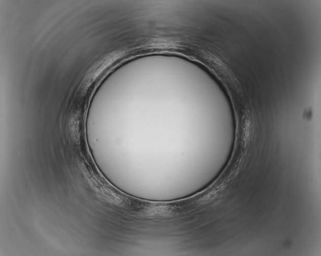 X0000115771162200911271133